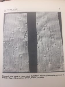 birdseye maple veneer
