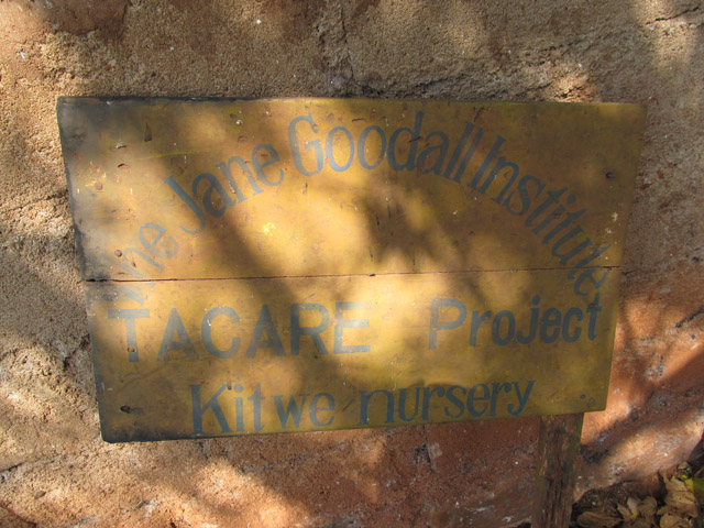 Eco Friendly- Jane Goodall Kitwe Forest