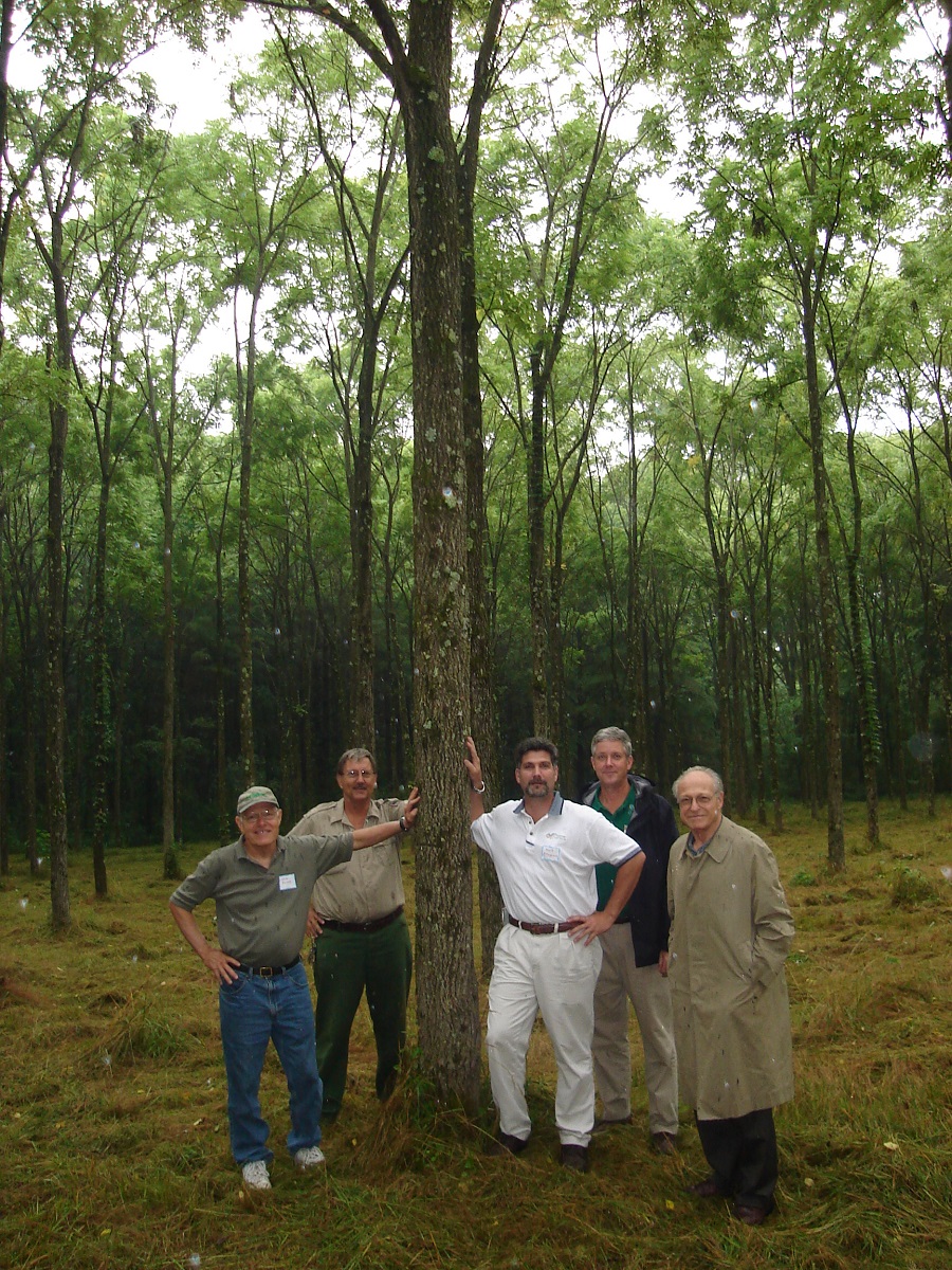 Eco Friendly Forest Dedication